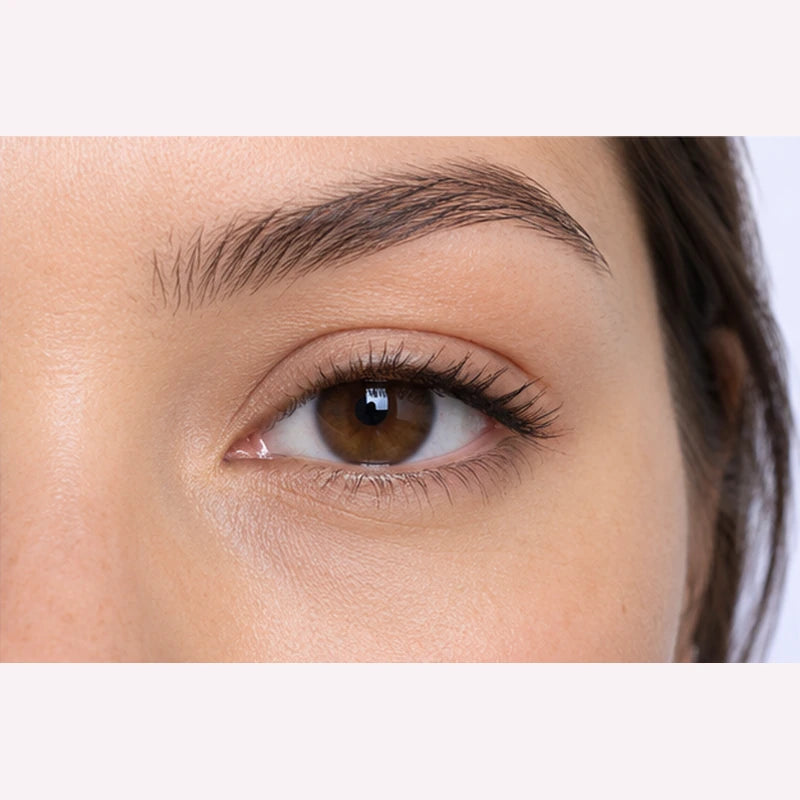 Illustrative after view: more defined brown eye eyelid crease